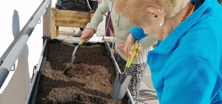 Creamos un huerto elevado para nuestros mayores