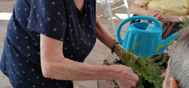 Creando nuestro Jardín Terapéutico